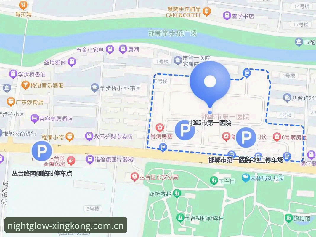 掌握星空体育动感服务的关键：从下载到实战的全流程指南